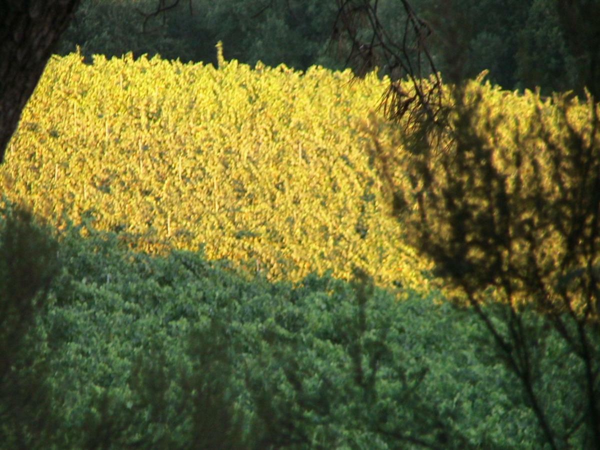 Agriturismo Campo del Monte Campogialli Esterno foto