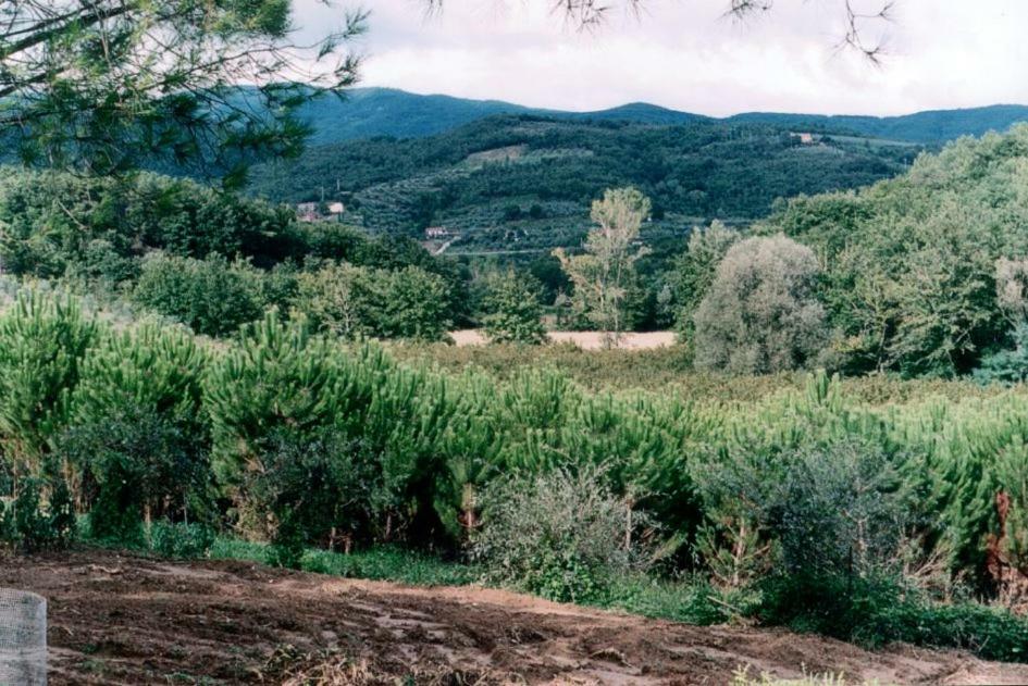 Agriturismo Campo del Monte Campogialli Esterno foto