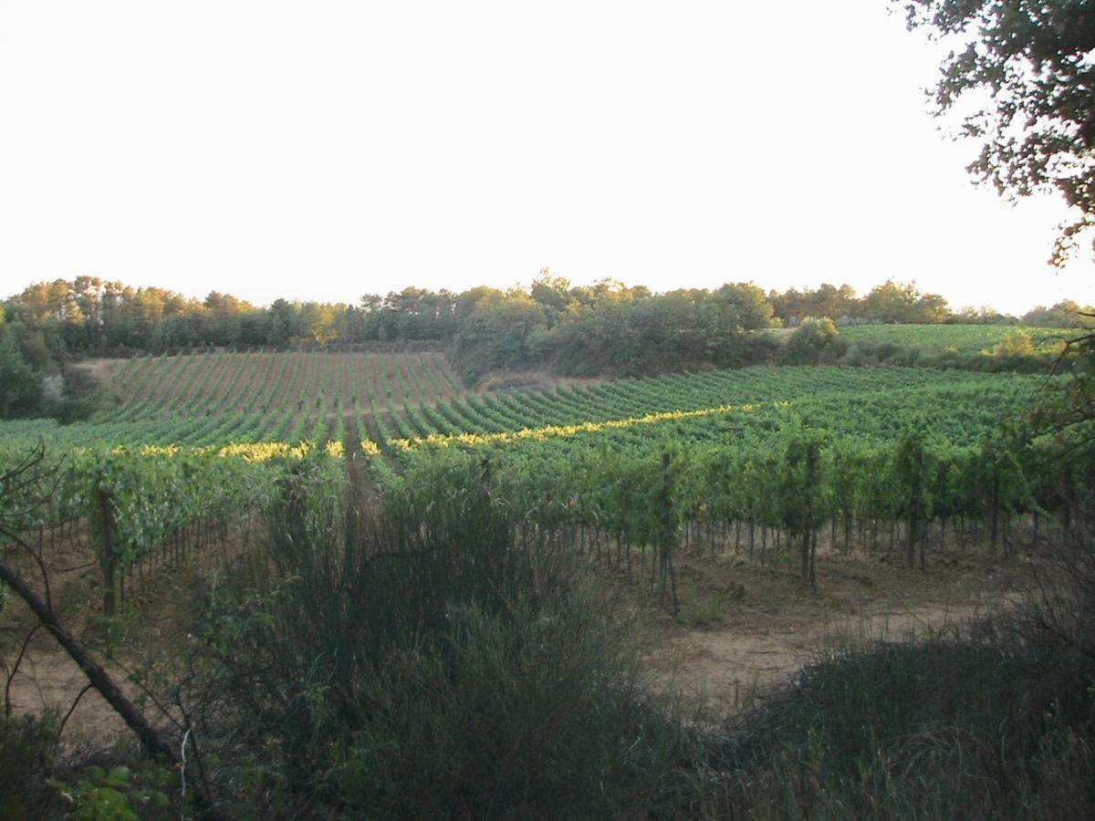 Agriturismo Campo del Monte Campogialli Esterno foto